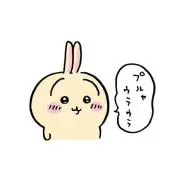 ぴの画像