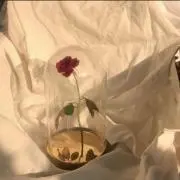 アの画像