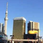 えっぐぷらんと74の画像