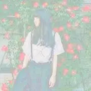 みーおんの画像