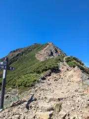 あややぽぽんの画像