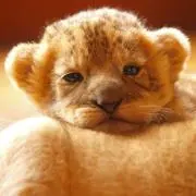 なななな〜の画像