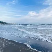 即購入OKの画像