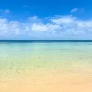 ぽんの画像