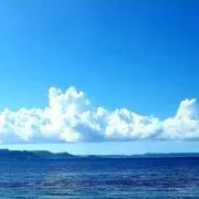 TNK⭐︎の画像