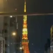 ベリーの画像
