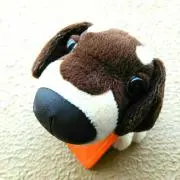 のぞみです