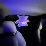 トゴウチの画像