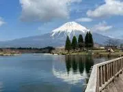 tanの画像