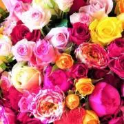 ROSÉ断捨離中の画像