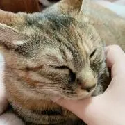 よっちの画像