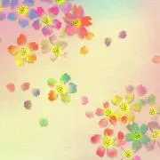 ぱる*プロフィール必読！の画像