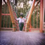 ひな