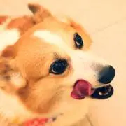 Kilala
