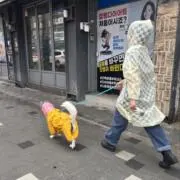 247の画像
