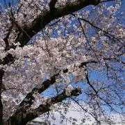 プー太郎