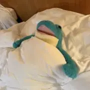 にゃーちゃん
