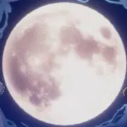 りおの画像
