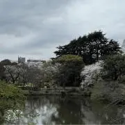 ちゃむの画像