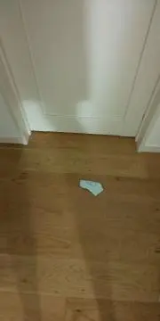 あさの画像