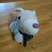 くすのき