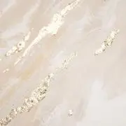 COCO⭐️プロフ必読⭐️の画像