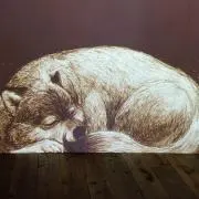 やまの画像