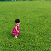 なるつばきの画像