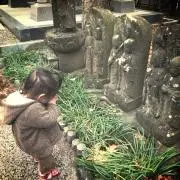 うり坊の画像
