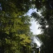 秋冬の画像