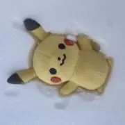 tôfuの画像
