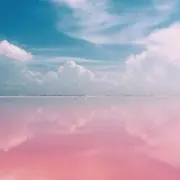 t-mo