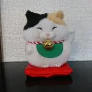 ねこまるの画像