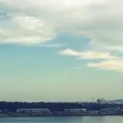 PZの画像