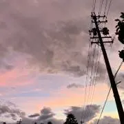 あんの画像