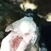 gkxstoz