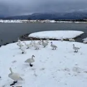 kの画像