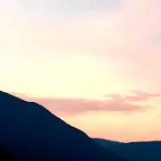 ゆーかの画像