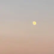 くるみの画像
