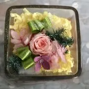 ノエリンの画像