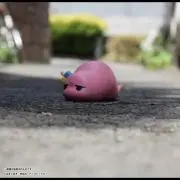 りょうもんの画像