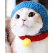 piroの画像