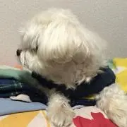 maruta208⭐︎まとめ買い歓迎⭐︎の画像