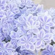 no-nの画像