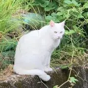 marina✿の画像