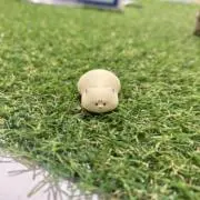ＴＥＮの画像