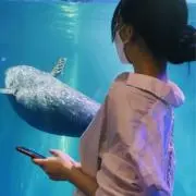 Miho 即購入可能の画像