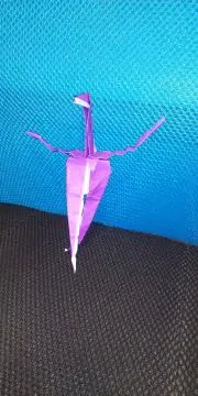 YM11の画像