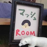 ともぷーすけの画像
