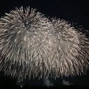 たか
